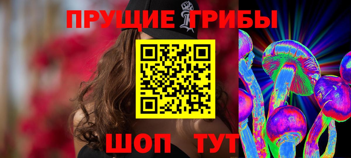 Волжский  купить   Вход с VPN  Псилоцибиновые грибы Cubensis 